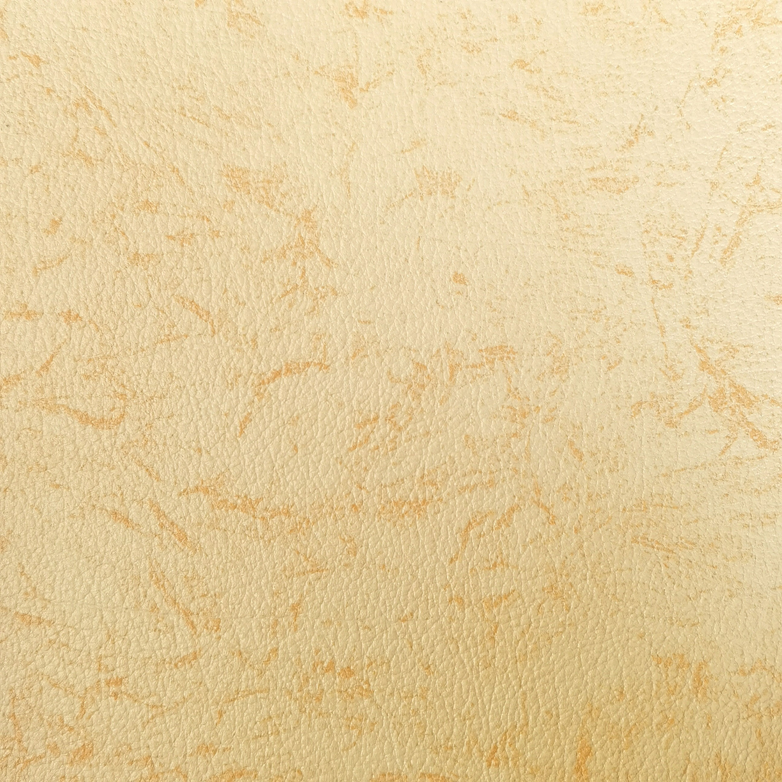 Edelweiss — YW 5001 L - YELLOW