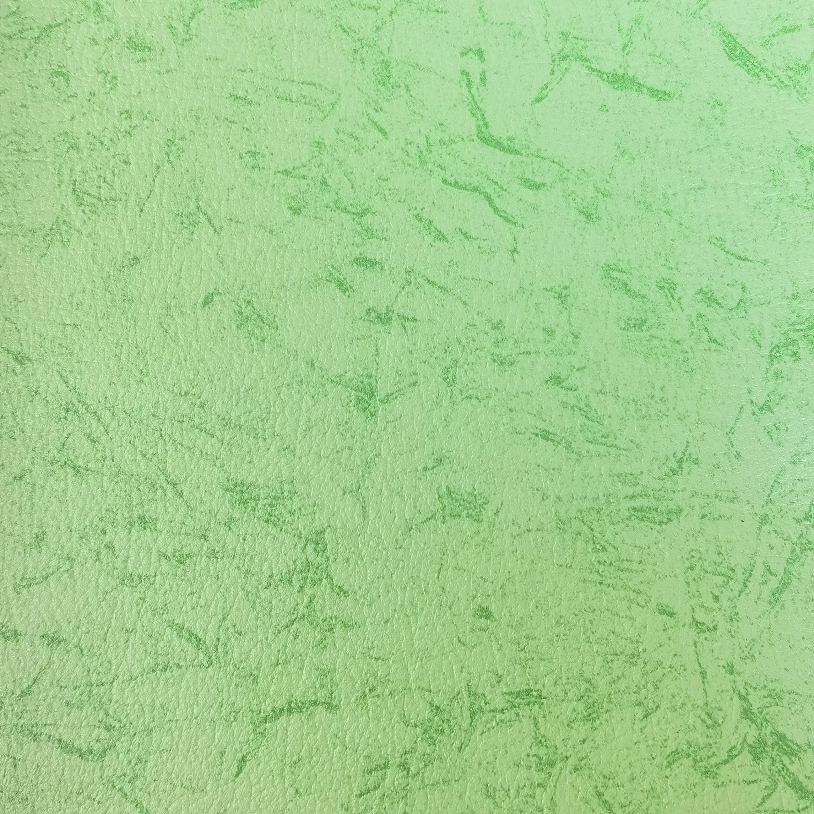 Edelweiss — GN 4006 L - GREEN