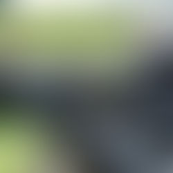 De la misteriosa necesidad de practicar un deporte