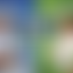 functional medicine vs conventional medicine differences root cause approach comparison