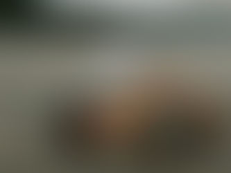 Swimmer in lake with text: "2 mercury fillings would make a lake unswimmable by EPA standards." Overcast sky and distant mountains visible.