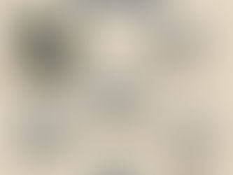 Text on homeopathy: principles, safety, and FAQs. Includes an image of a mortar with white pellets on a beige background.