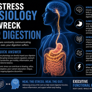 Functional medicine explanation of how stress physiology affects digestion