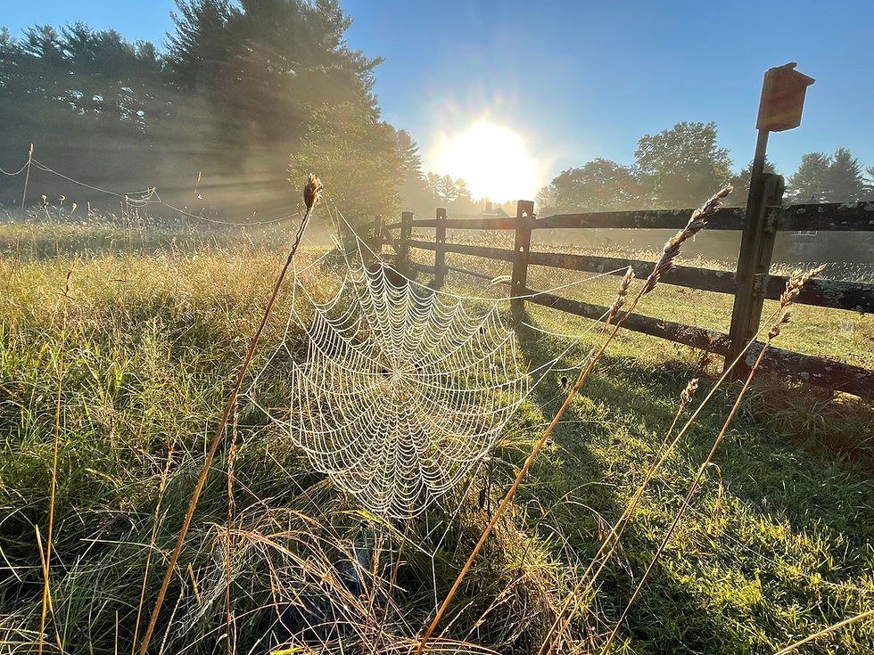 2021-09-10 07.19.46.jpg