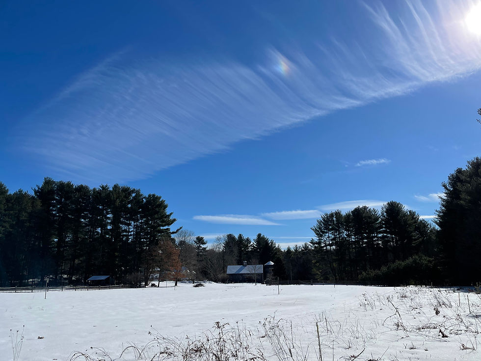 2022-02-06 11.44.23.jpg