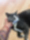 Cat Couple Sir Sausage.jpg