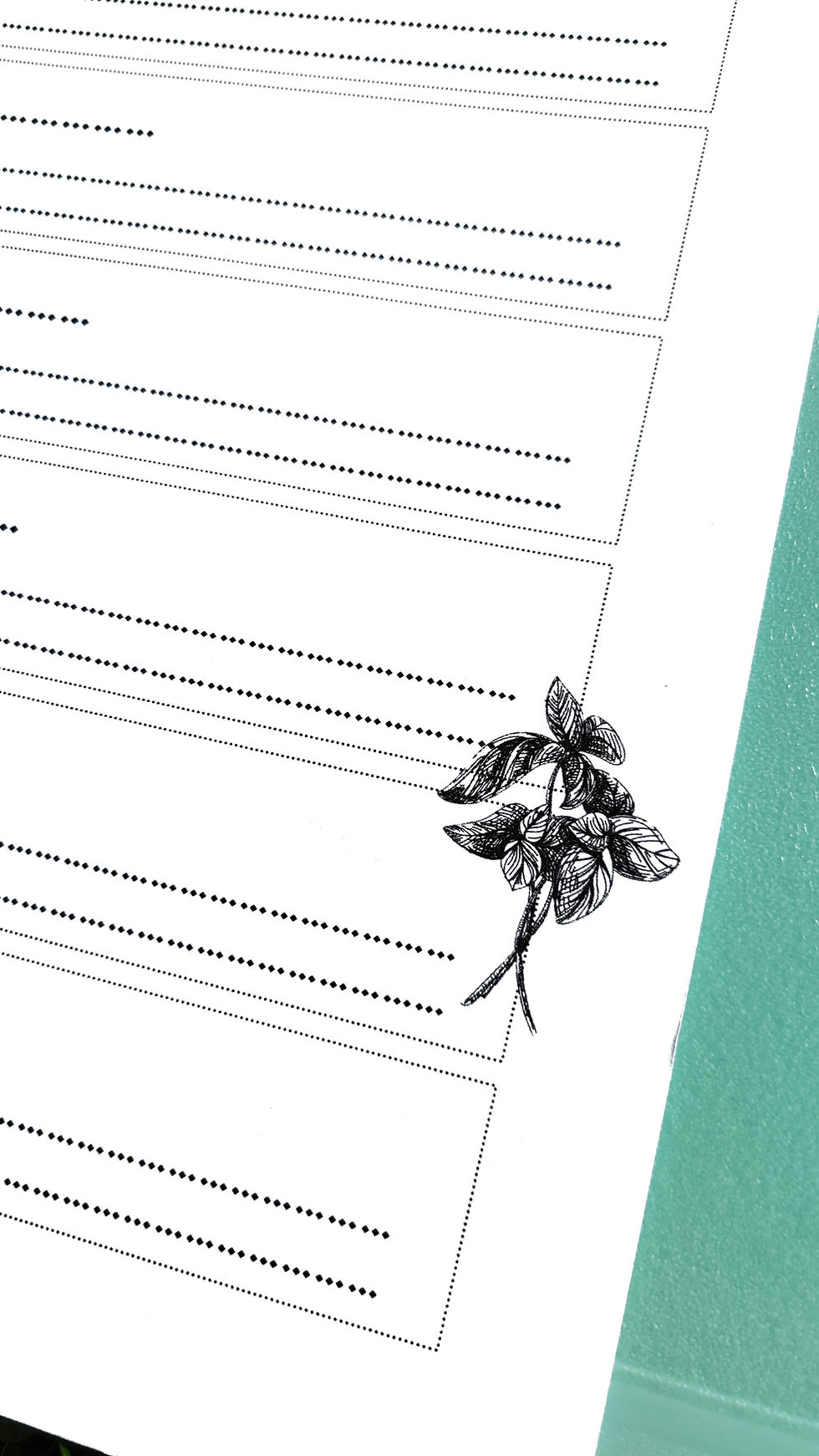 Thumbnail: Herbalism Journal Apothecary Printable | PDF