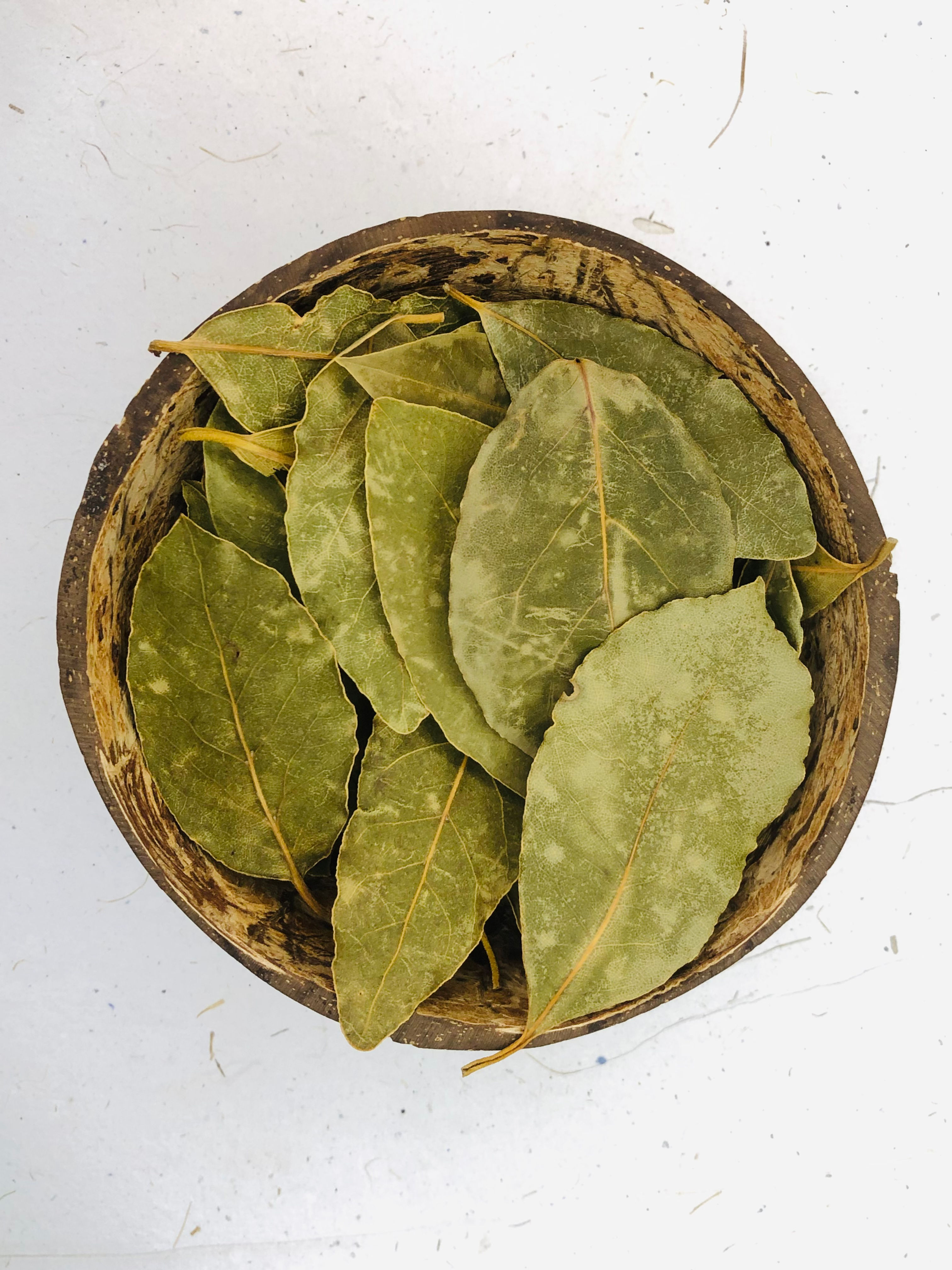 ベイリーフ（ローリエ / ローレル）