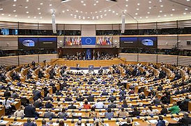 OIP (1).jpg
