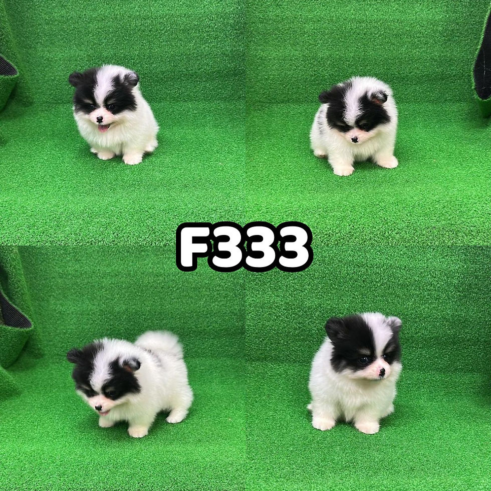 F333