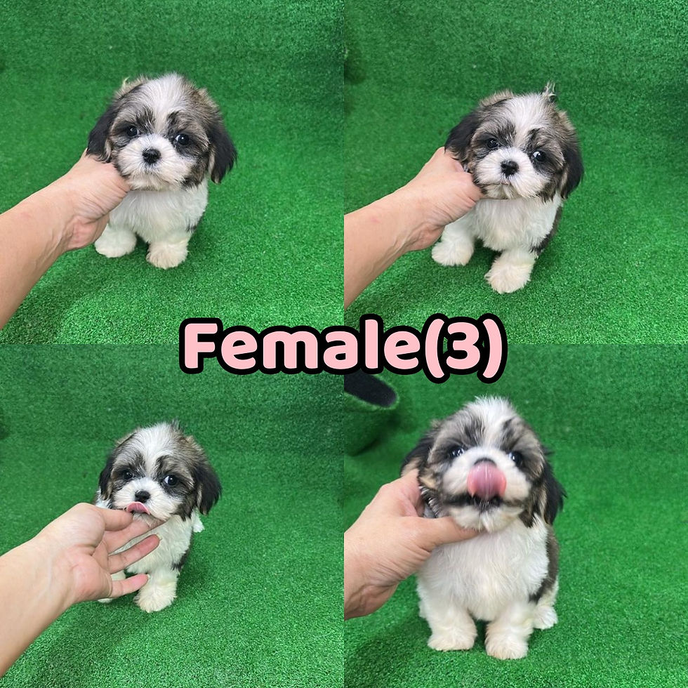F3