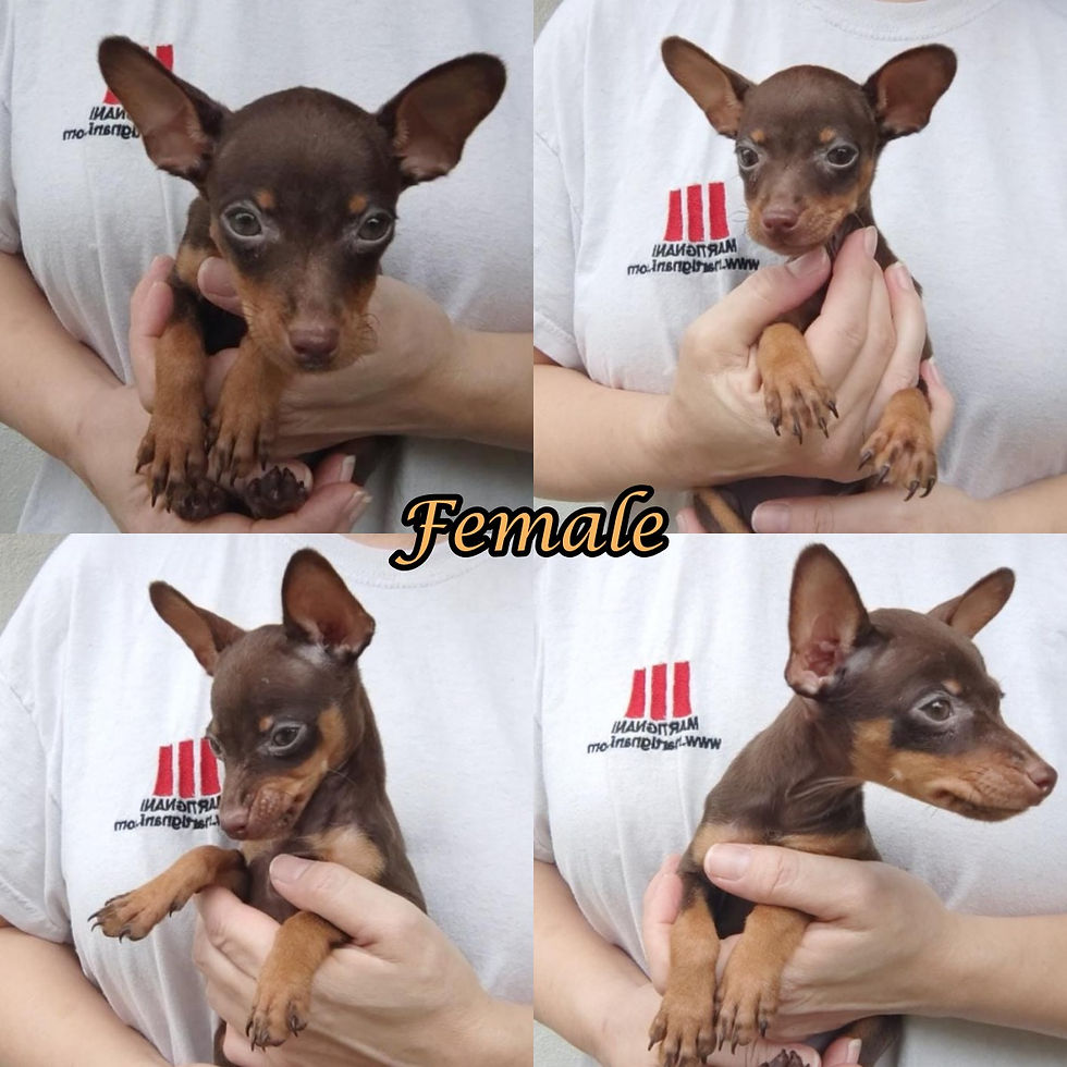 1 Female