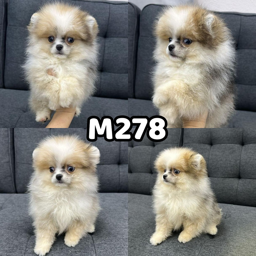 M278