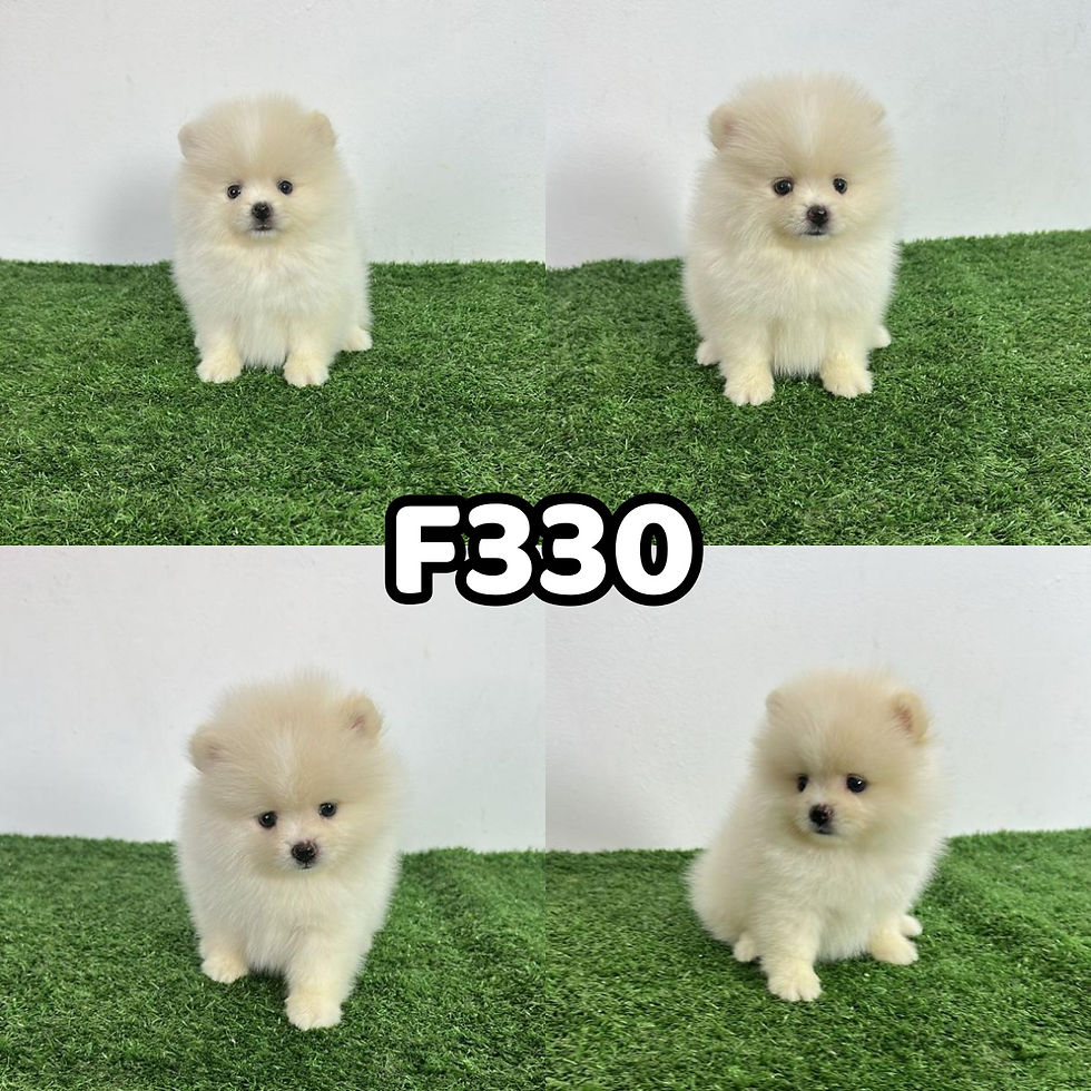 F330