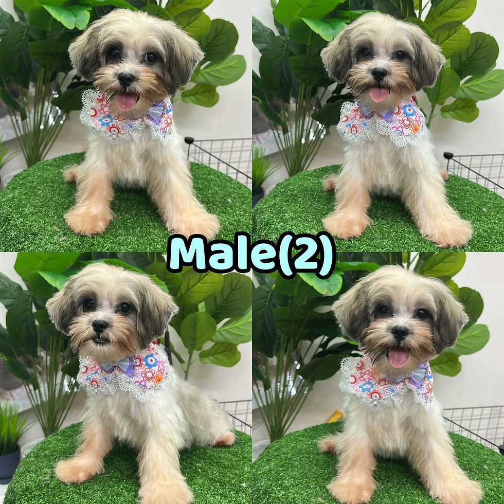 Previous Sold for reference