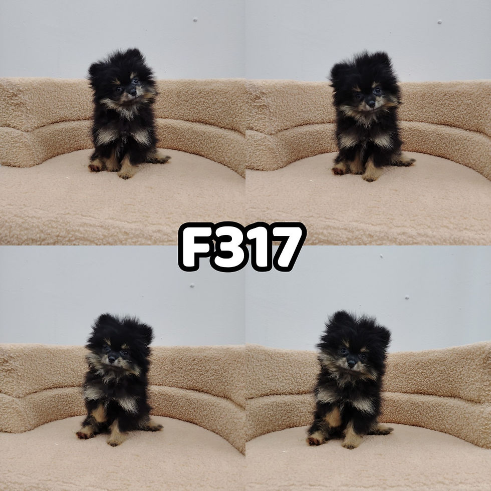 F317s