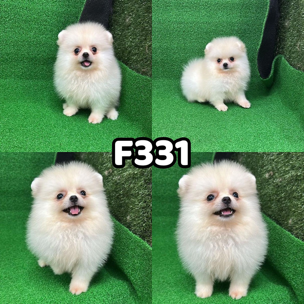 F331