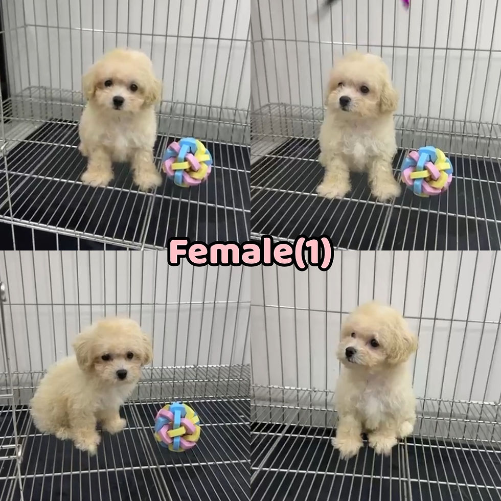 Previous Sold for reference