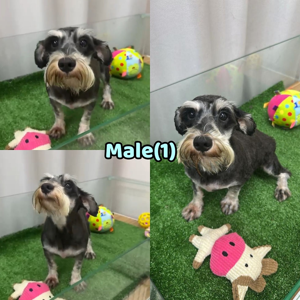 1 Male