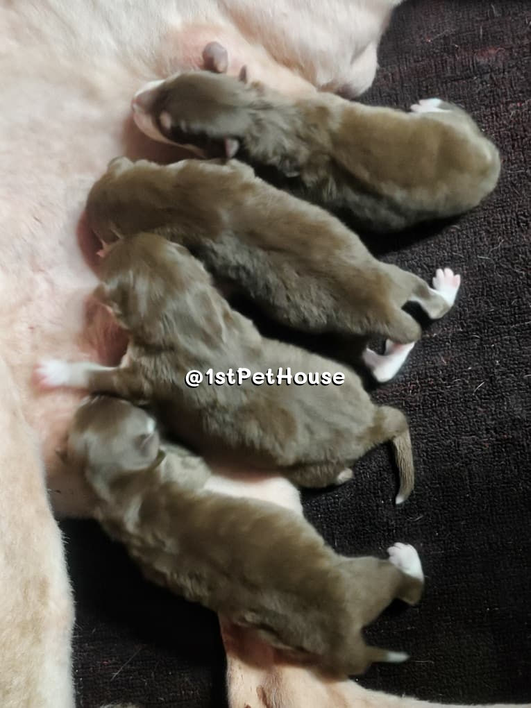 New Born
