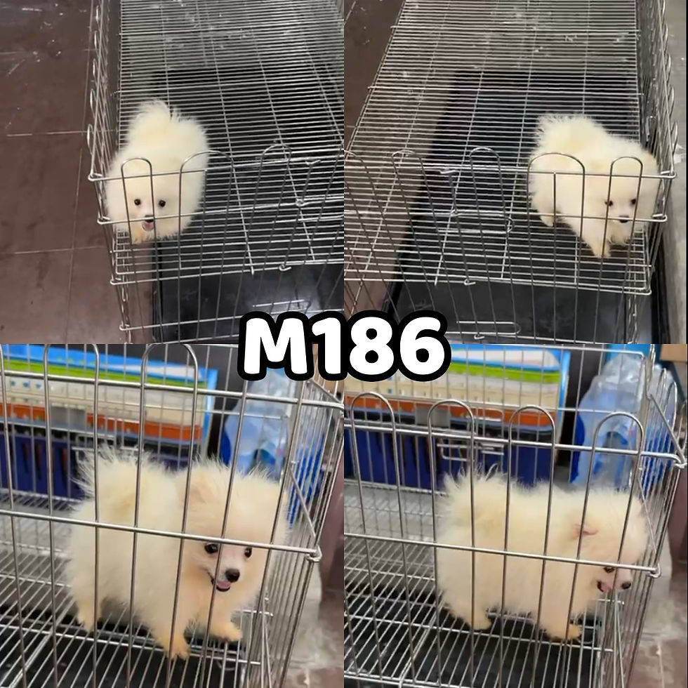 M186