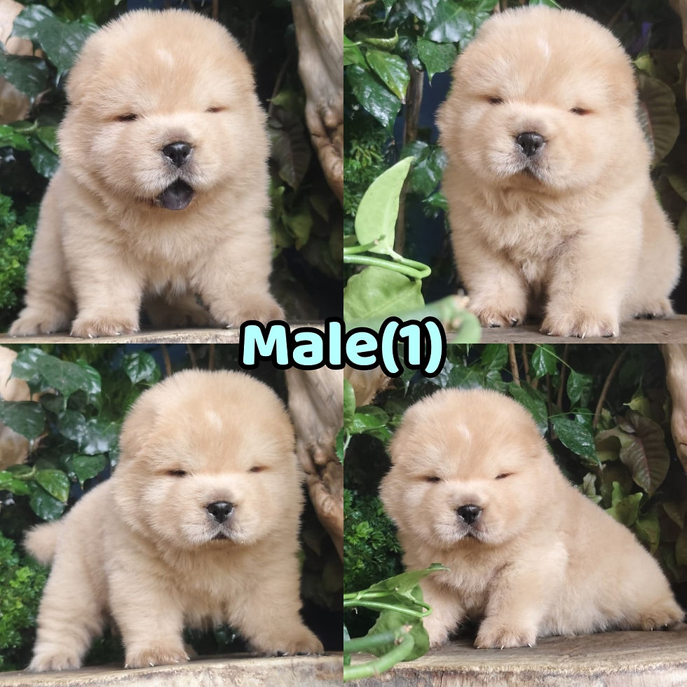 4 Weeks Old