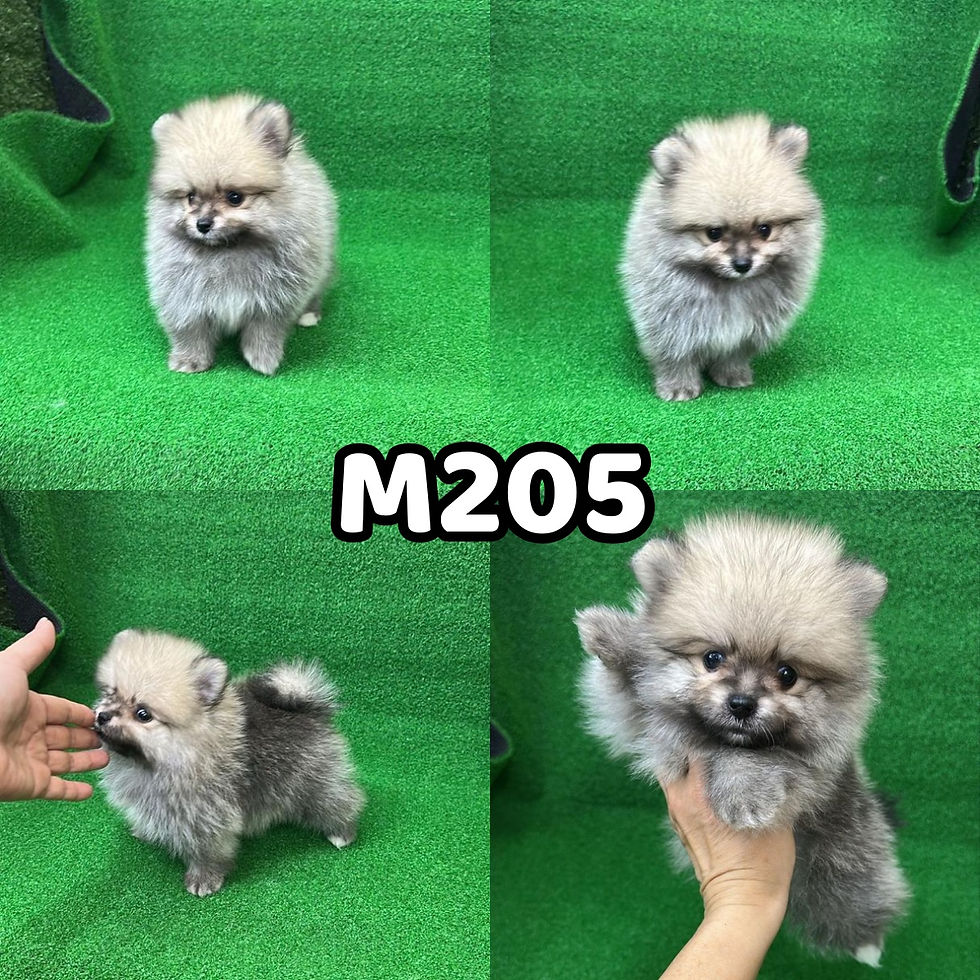M205
