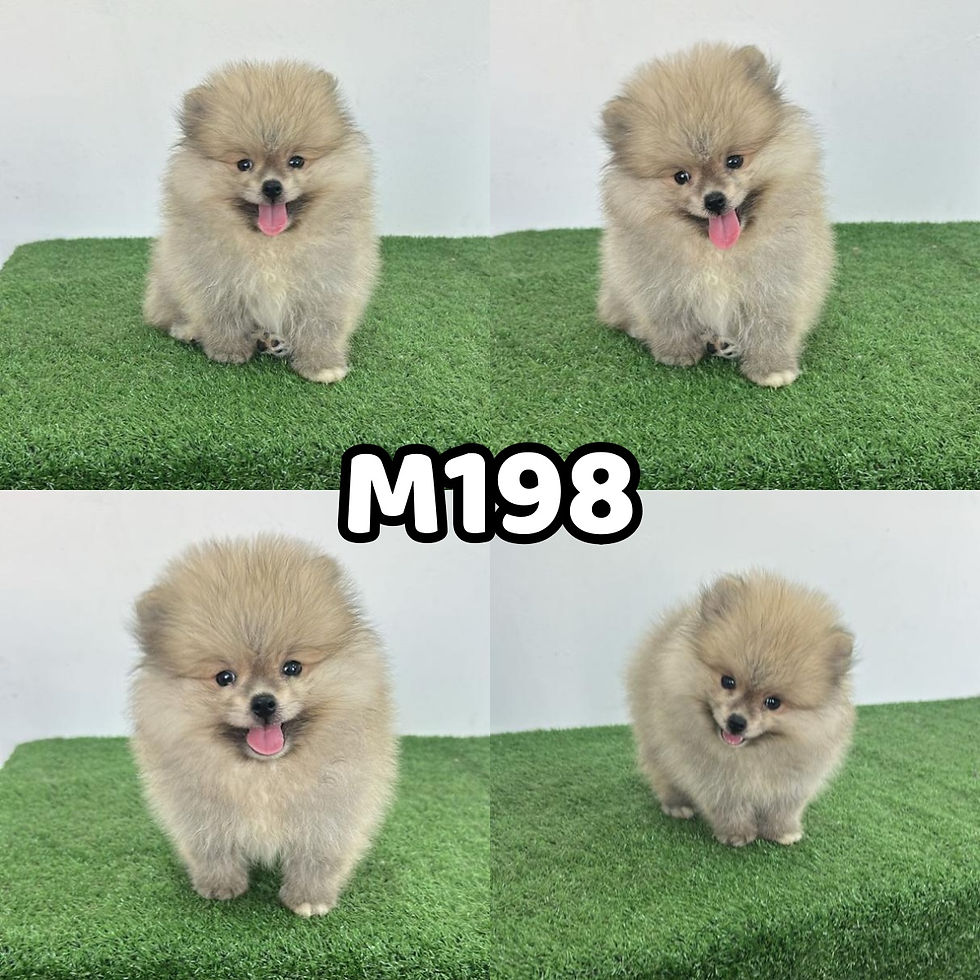 M198