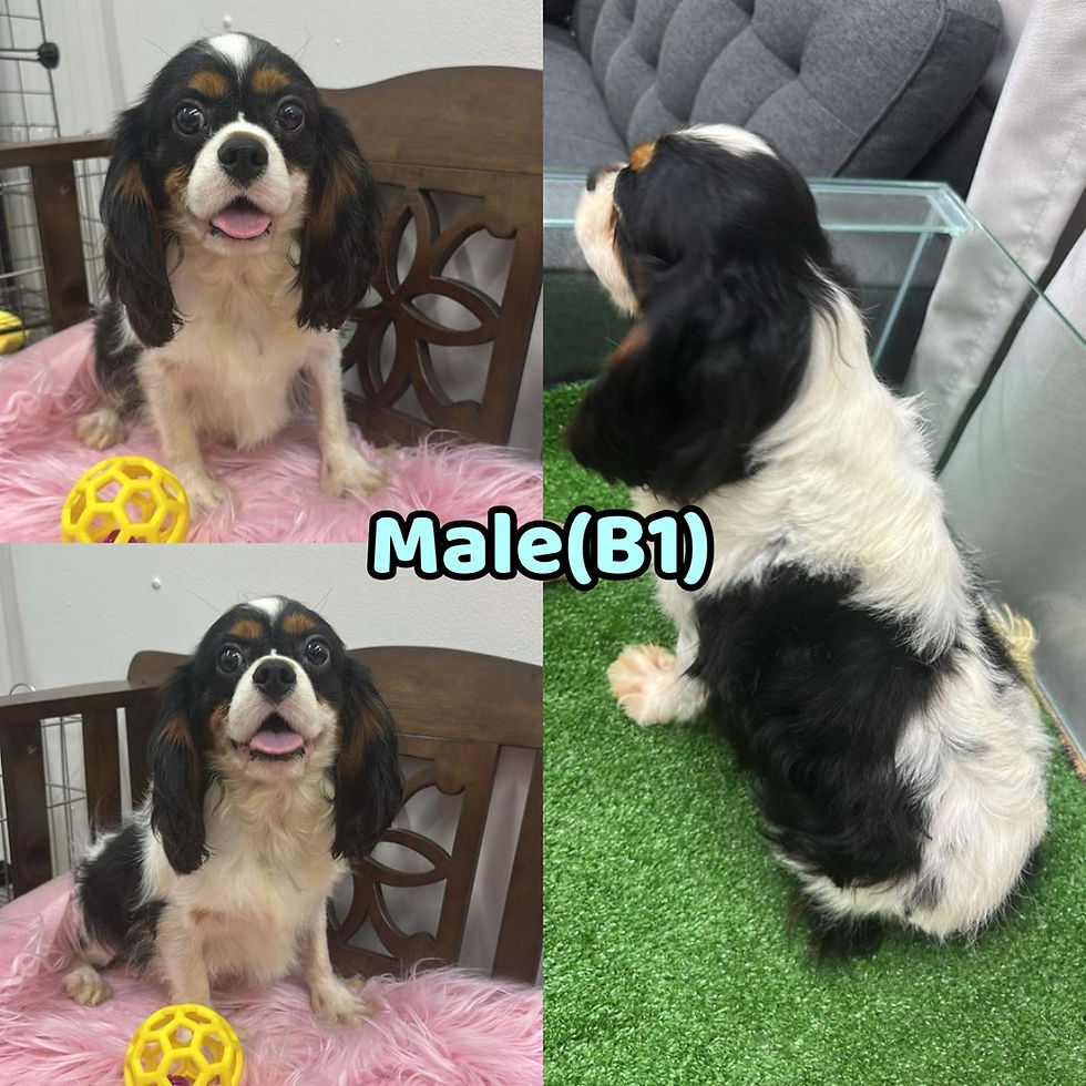 1 Male