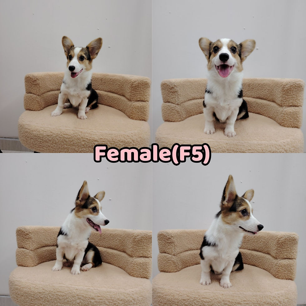 F5