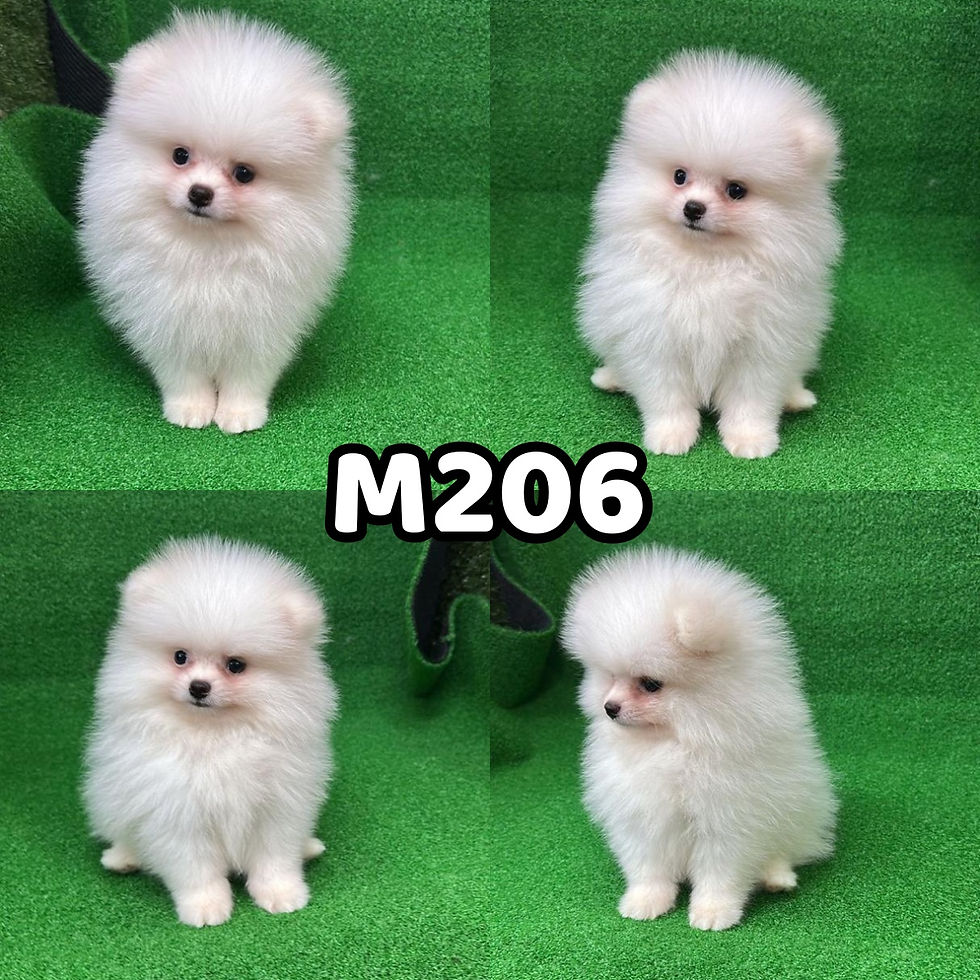 M206