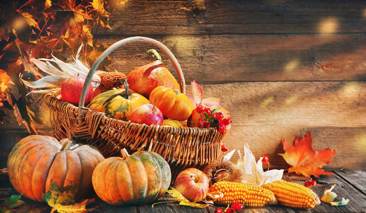 Arranged Food and Objects