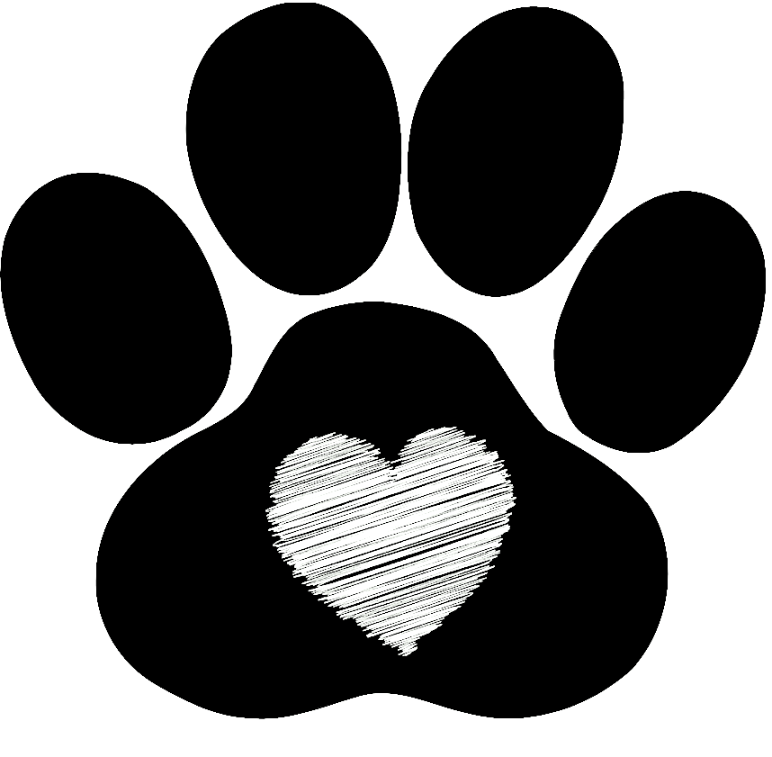 About | Powder Mill Animal Hospital