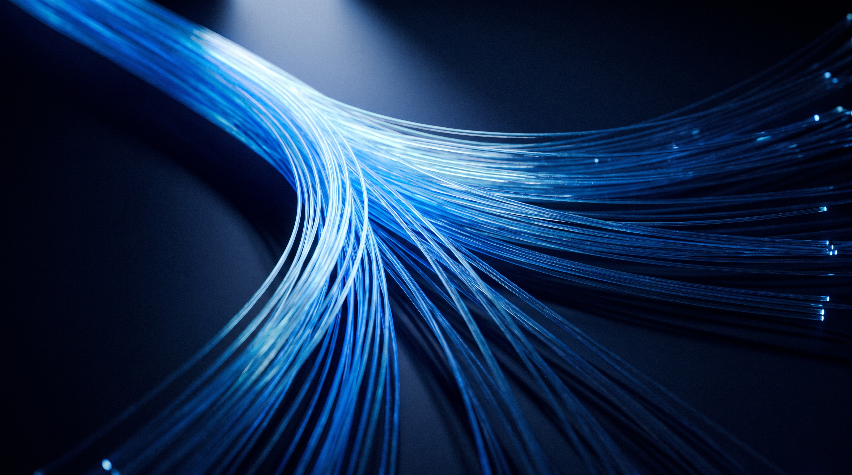 Fiber-optic strands branching from one path into many, representing decision-making.
