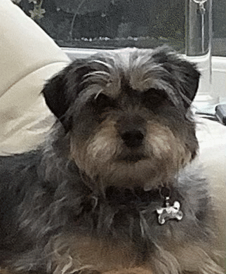IMG_2168.gif