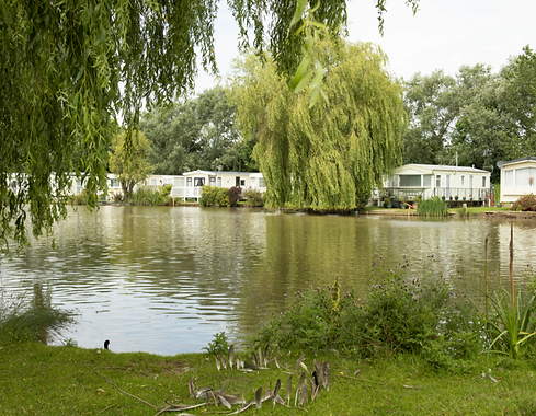 Caravans on the park round a pond.
