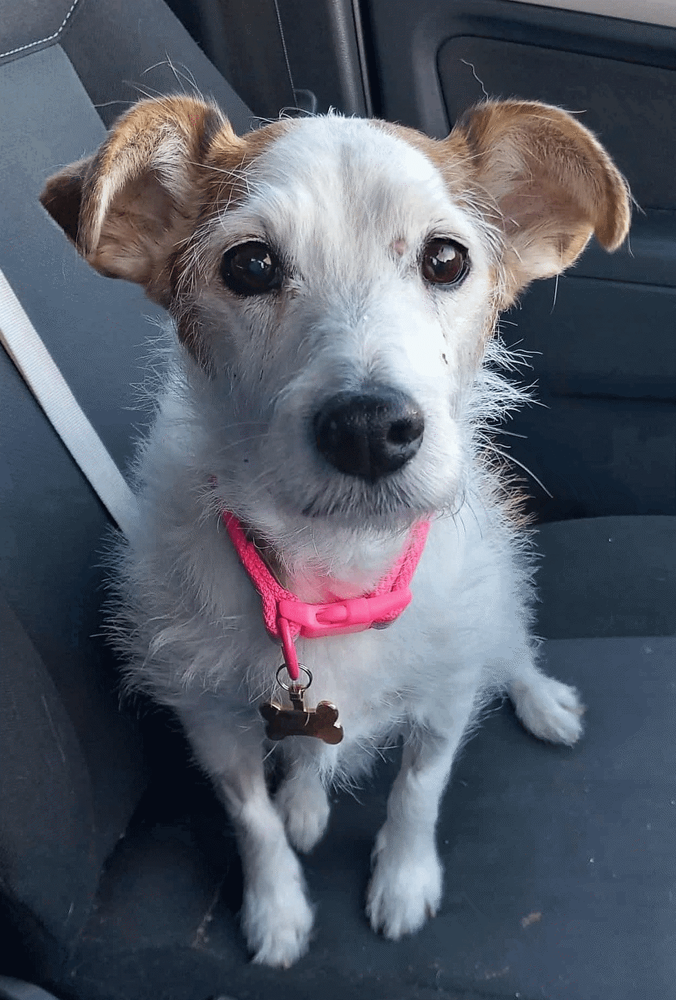 Jessie........&.......