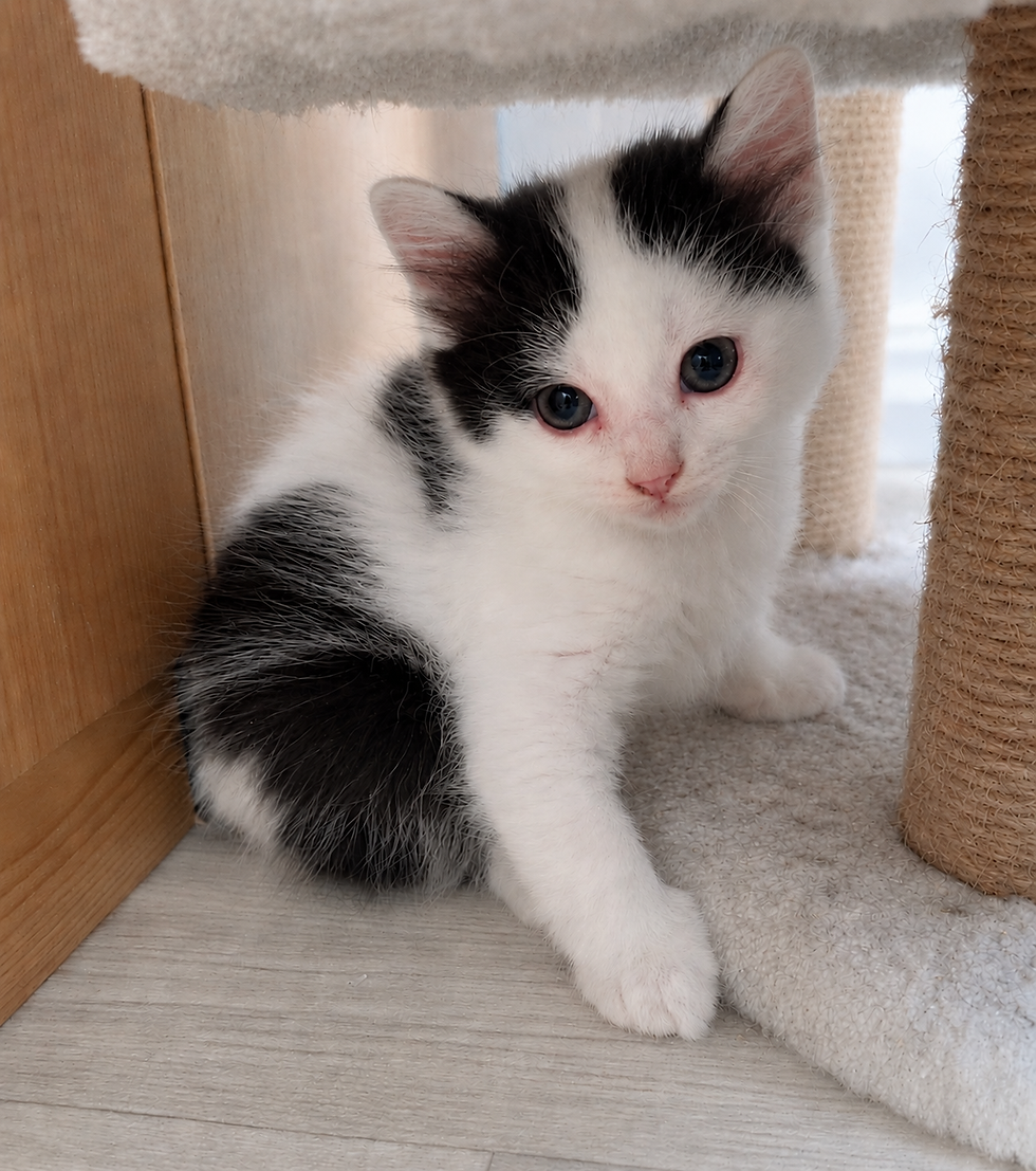 RESERVED - Casper and...
