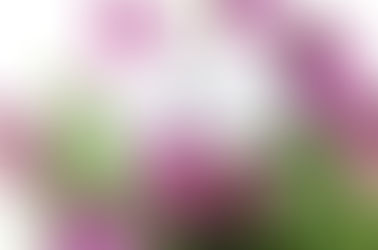 人生中第五个母亲节