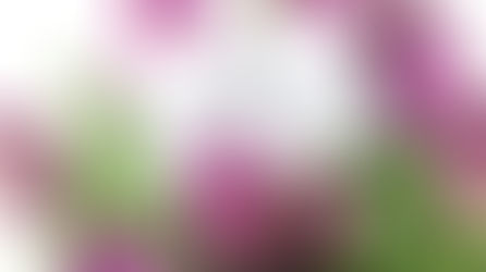 人生中第五个母亲节