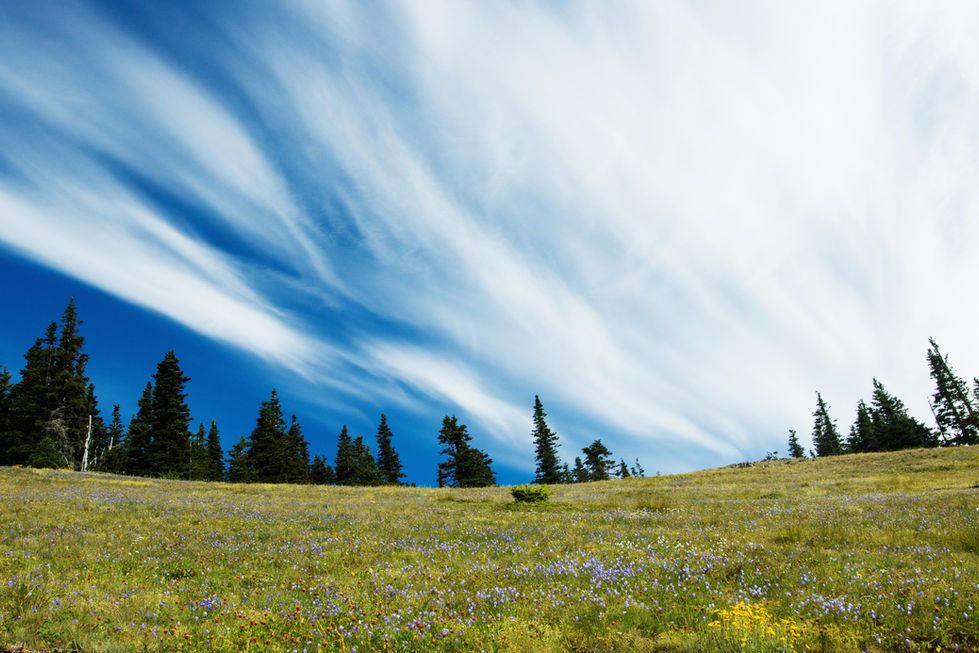 The Sky Above