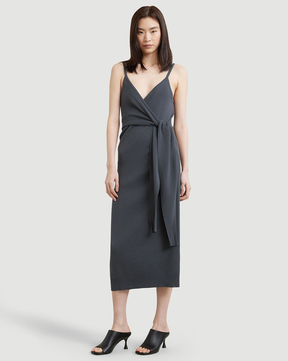 Modern Citizen Ani Sleeveless Tie Front Knit Dress