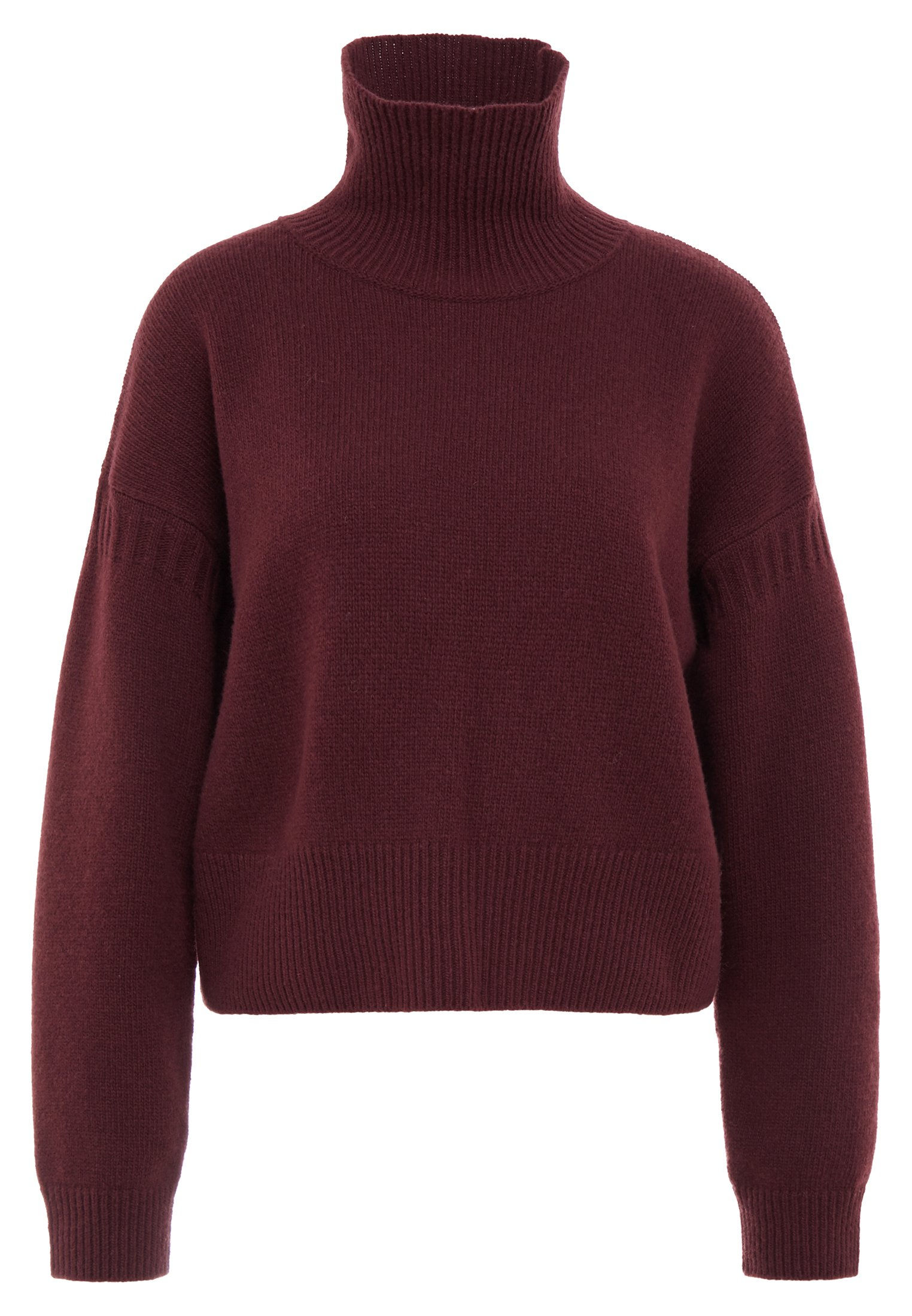 CLOSED Turtleneck Sweater