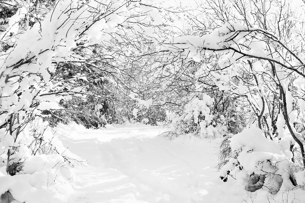 Nothing Has Gone Wrong