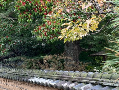 小田原の邸園を巡る
