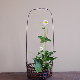 お蔵の整理No5山村御流の花入れです。手付が素敵です。 お蔵の整理No5