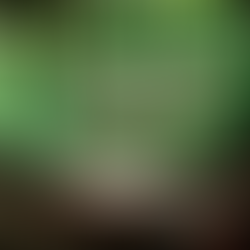 DON’T TELL MY MOM I’M DEEP IN THE AMAZON