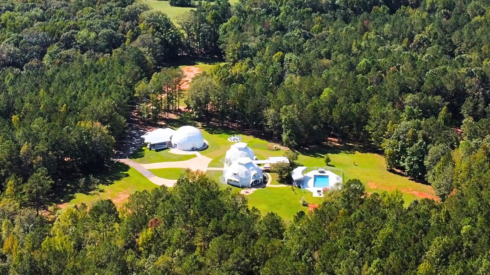 boutique retreat forest.jpg