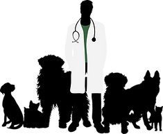 vet_3x.png