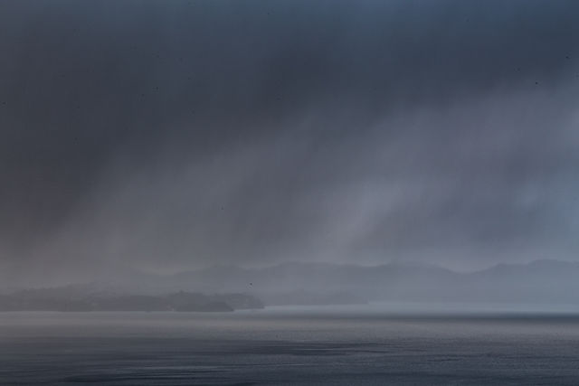 _MG_3896